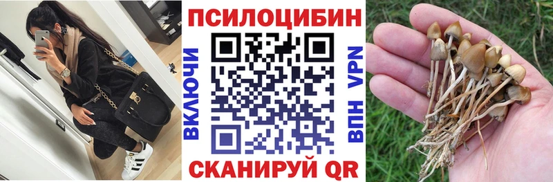 где купить наркоту Волгоград Галлюциногенные грибы Magic Shrooms
