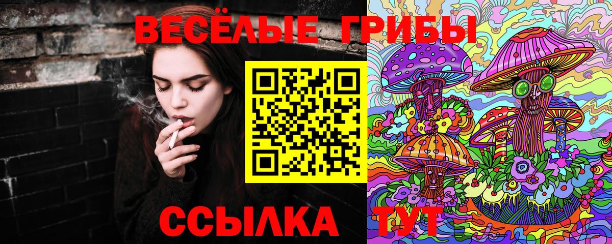Галлюциногенные грибы MAGIC MUSHROOMS  Вход с VPN  Волгоград 