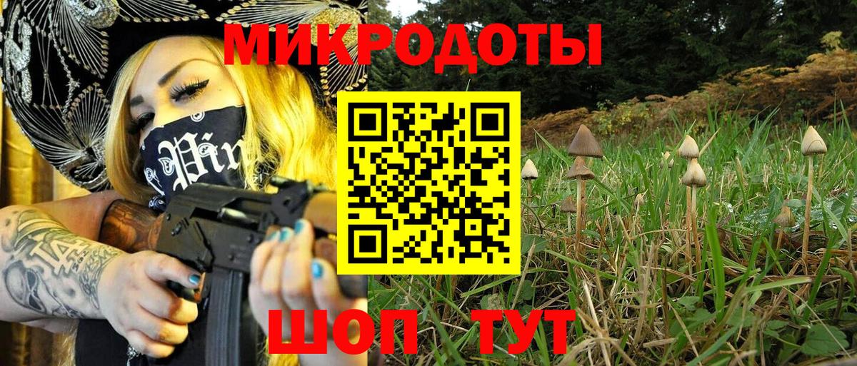 Псилоцибиновые грибы прущие грибы  Волгоград 